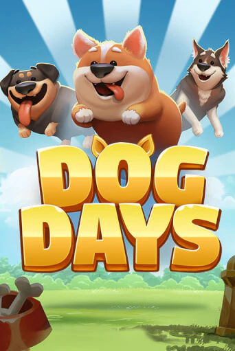 Демо игра Dog Days играть онлайн | CasinoX бесплатно