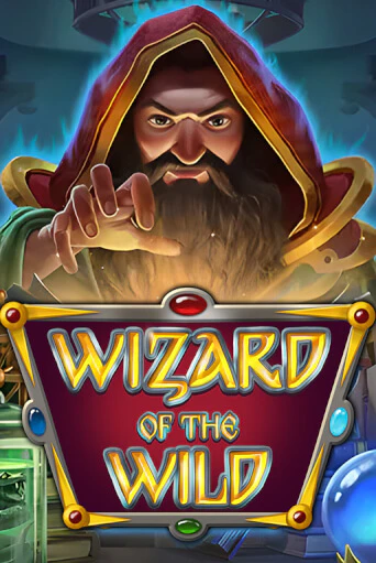 Демо игра Wizard of the Wild играть онлайн | CasinoX бесплатно